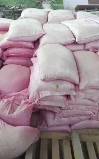گلکسی بادز پرو۳