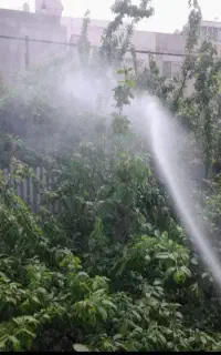 کارهای باغبانی سمپاشی علف کشی کودهی سمپاشی درختان