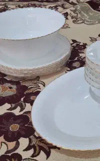 ظروف  پذیرایی