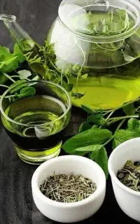 آگهی استخدام کار آسان برای خانم های فعال و زبده