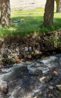 توریکروزه