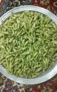 بگل بامیه