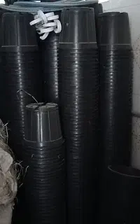گلدان سطل۳.۵ مناسب گل و گلخانه گلفروشی