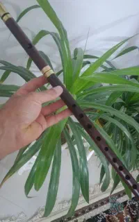 فلوت عربی... علی موسوی