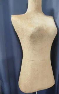مانکن سوزن خور