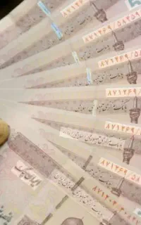 شریک یا سرمایه گذار