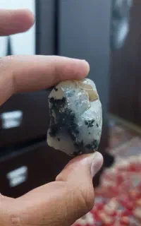 شجر فسا  کسی که می‌دونه چیه زنگ بزنه بی چونه 800
