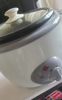 پلوپز آرام پز پارس خزر