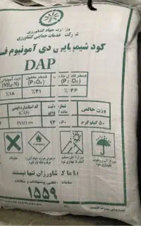 دی امنیوم زیتونی