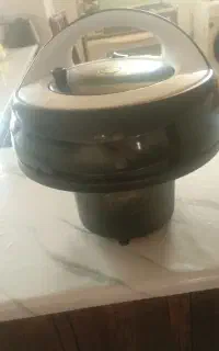 موتور جاروبرقی
