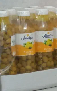 زیتون