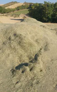 یونجه خرمان کوب