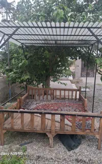 آلاچیق