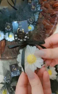 گیفت بابونه