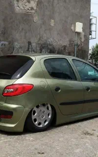 ۲۰۶ انگوری