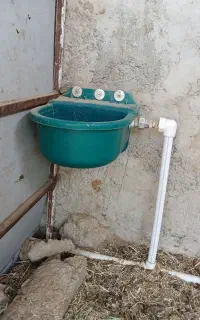 آبخوری اوتومات
