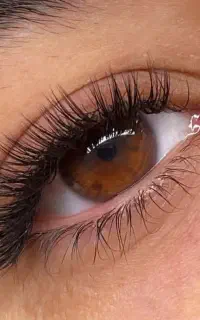 تخفیف ویژه اکستنشن مژه به مدت محدود
