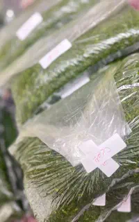 سبزی خونگی بار امروز تازه تازه