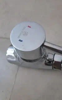 فروش شیر دو قلو و تک