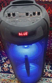 اسپیکر مدل kts1119