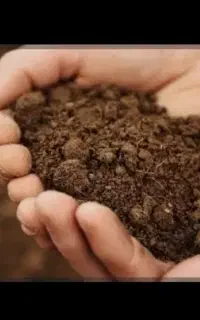خاک ملکی رایگان