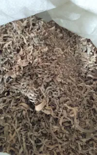 فروش پوشال وچوب برای زغال