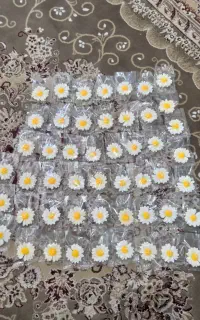 شمع بابونه