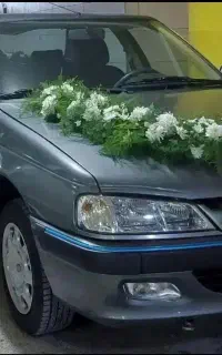 اجاره پژو/کرایه پژو/رنت اتومبیل
