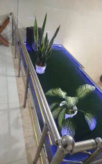 درخواست شریک