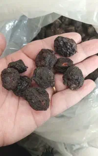 آلو،ترشک اواشک