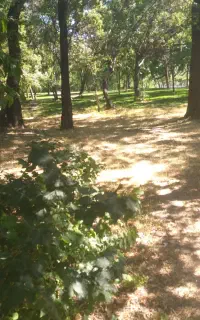 طبیعت گردی