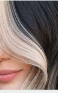 فیس فرم اسکاتلندی با قیمت استثنایی