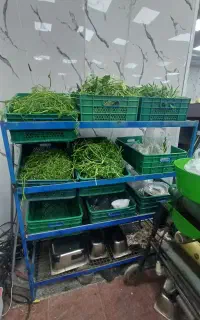 سبزی خورد کنی سبزی آماده آب لیمو رب پیک رایگان