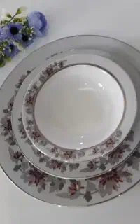 سرویس چینی زرین سری ایتالیا سان فلاور درجه عالی