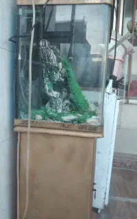 آکواریوم باتمام وسایل وجا کفشی