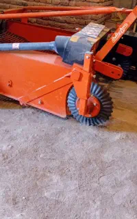 سیب زمینی کن سبزدشت و چیزل ۵ شاخه