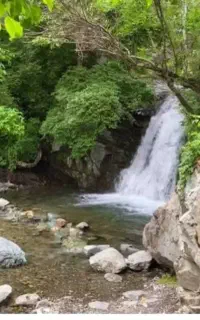 تور  در بند