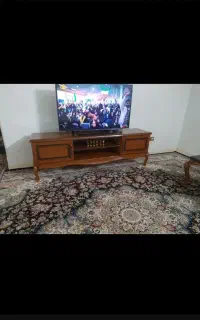 تلویزیون در مهاجران
