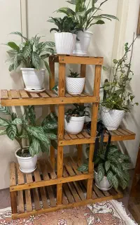 استند گل و گیاه / کتابخانه