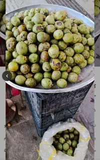 ایذه