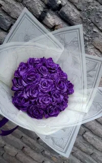 گل روبانی