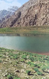 تدریس خصوصی ریاضی و فیزیک