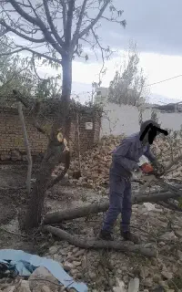 تخریب کار ساختمان