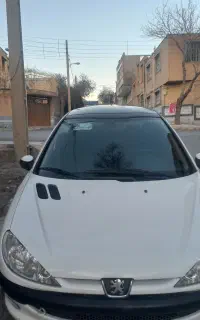 ۲۰۶ پاناروما تیپ۳