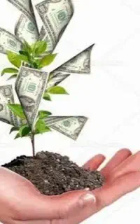 سرمایه گذاری در تمام زمینه ها