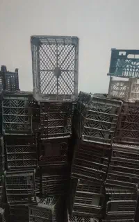سبد میوه جعبه میوه