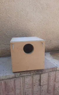 لانه پرنده