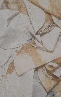 نان خشک خانگی ممتاز