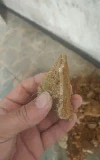 سنگ طلا 140. سوت