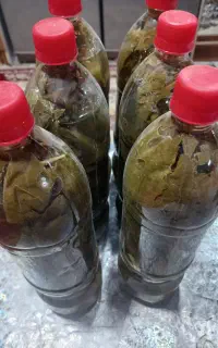 سبزی وغذای آماده
